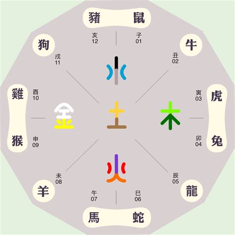 子五行|子的五行属性是什么